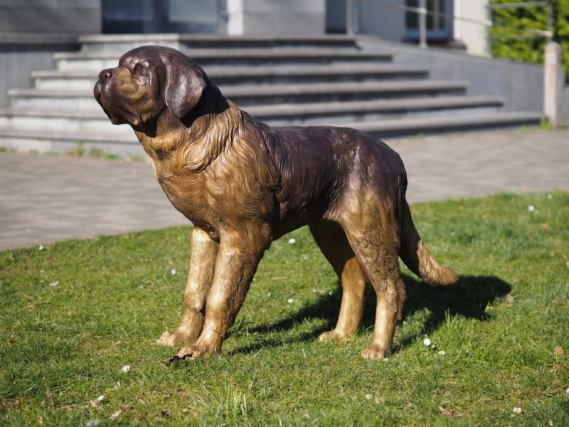 Bronzeskulptur Bernhardiner Hund 140cm